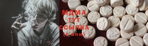 прущие грибы Абинск