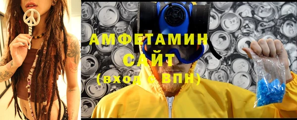 прущие грибы Абинск