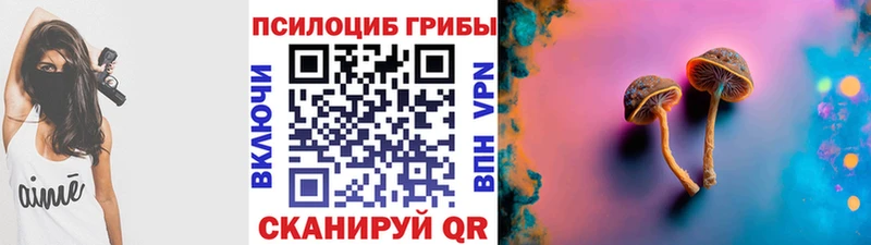 Псилоцибиновые грибы Psilocybe  Шлиссельбург 
