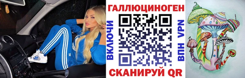 Псилоцибиновые грибы Cubensis Шлиссельбург